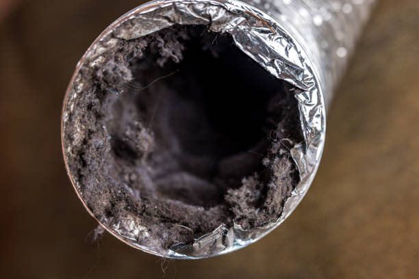 Best Best Air Duct Cleaning Company  in Olney, TX